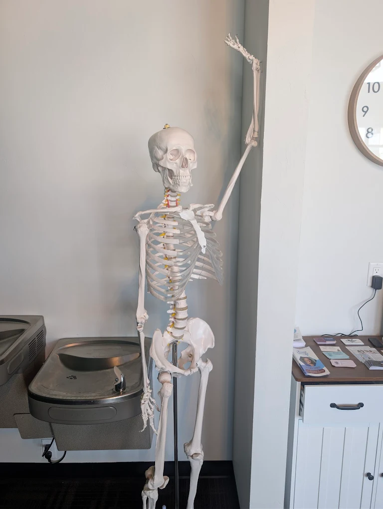 George, the anatomy skeleton who greets patients at REVIVE